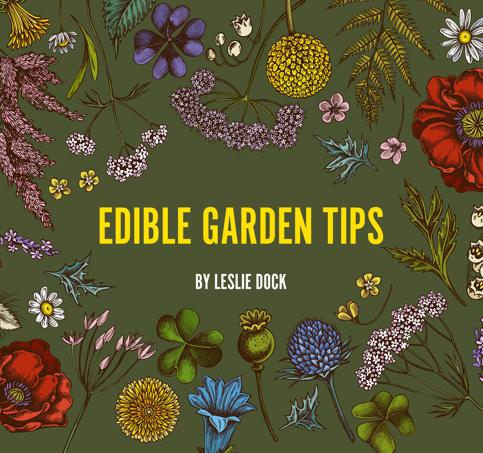 Edible Garden Tips