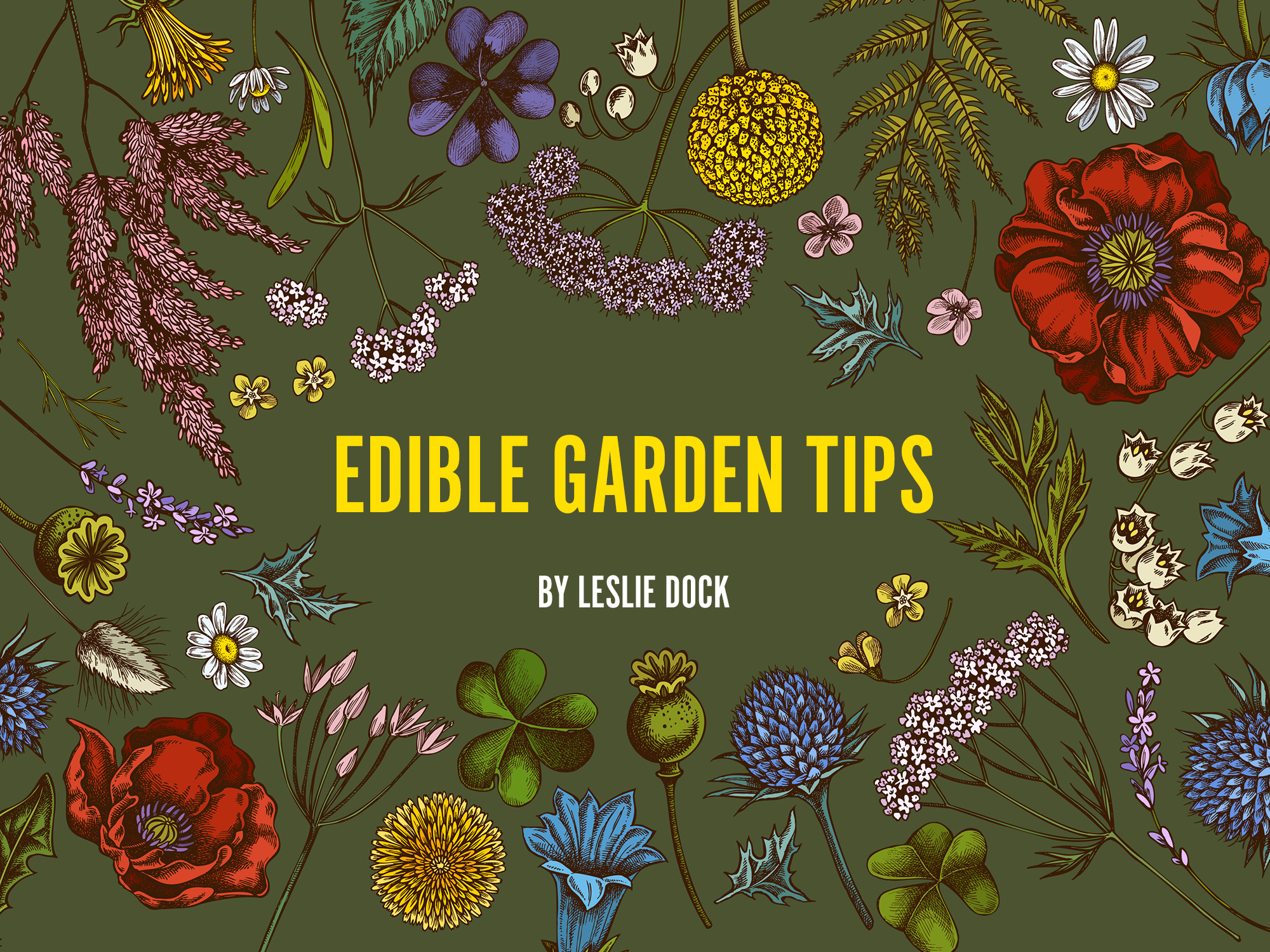 Edible Garden Tips