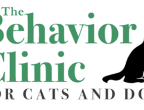 Behavior Clinic for Cats and Dogs