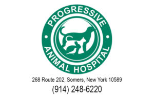 Progressive Animal Hospital