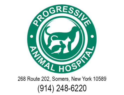 Progressive Animal Hospital