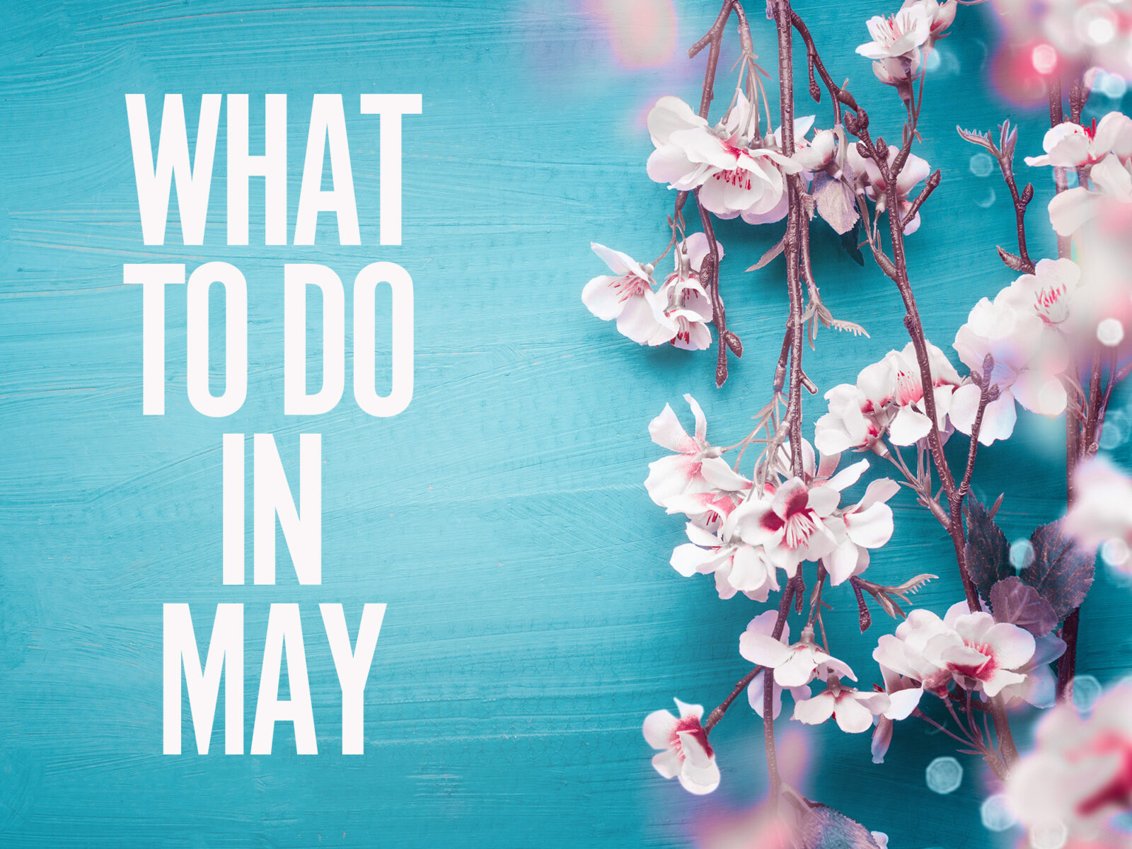 What to do in May
