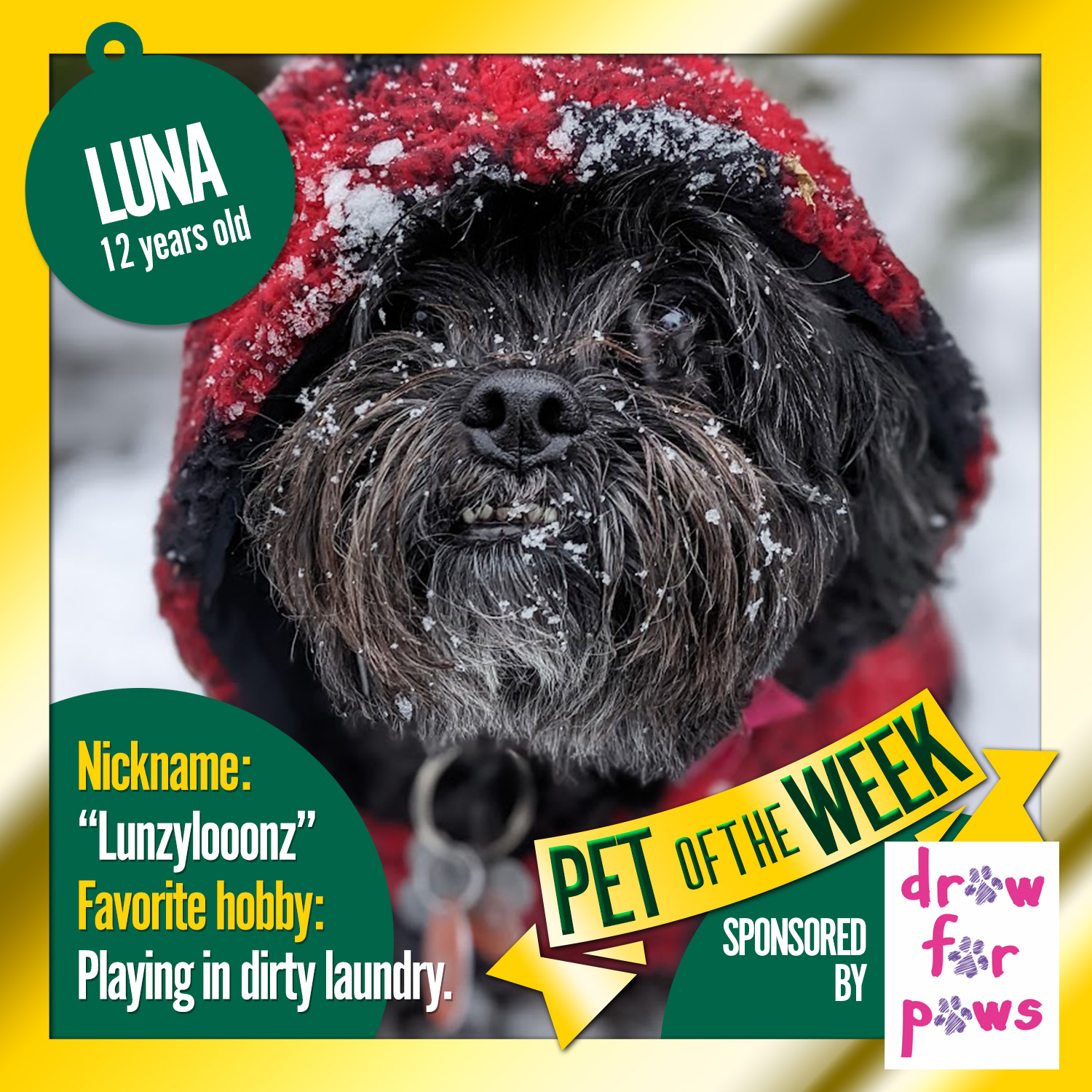 Pet of the Week: Luna