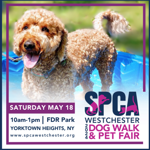 SPCA Westchester Annual Dog Walk & Pet Fair