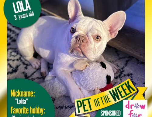 Pet of the Week: Lola
