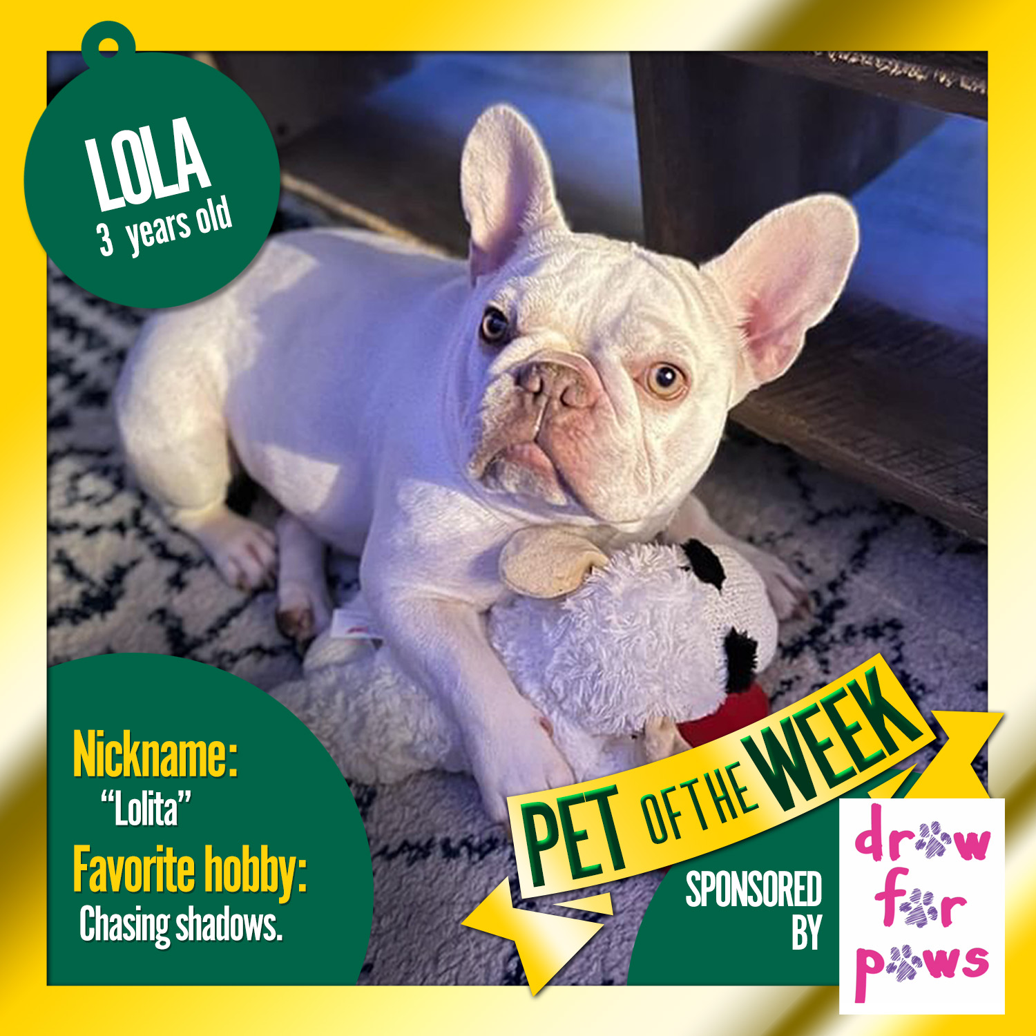 Pet of the Week: Lola