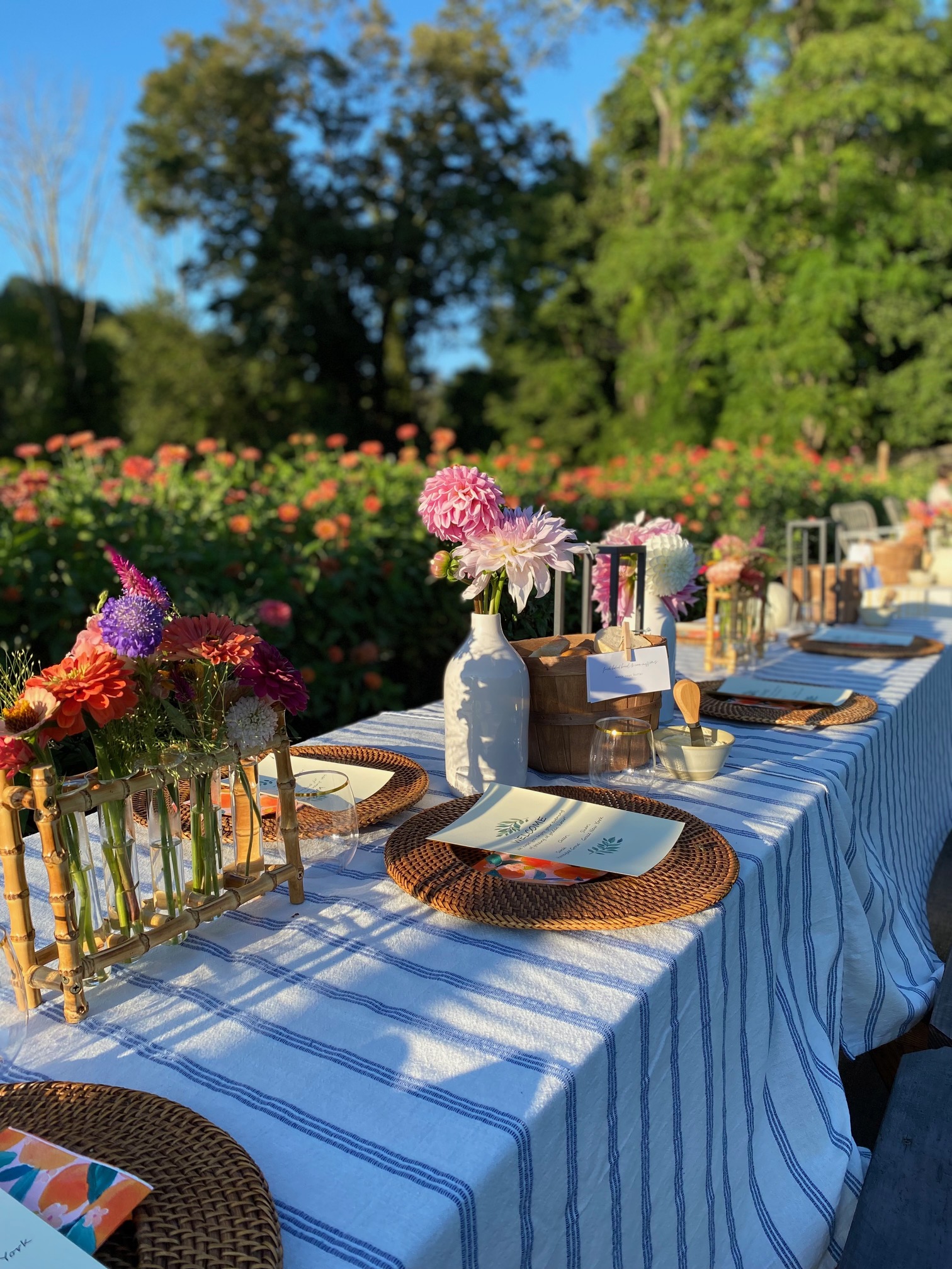 Graze at Golden Hour: Dining by the Barn