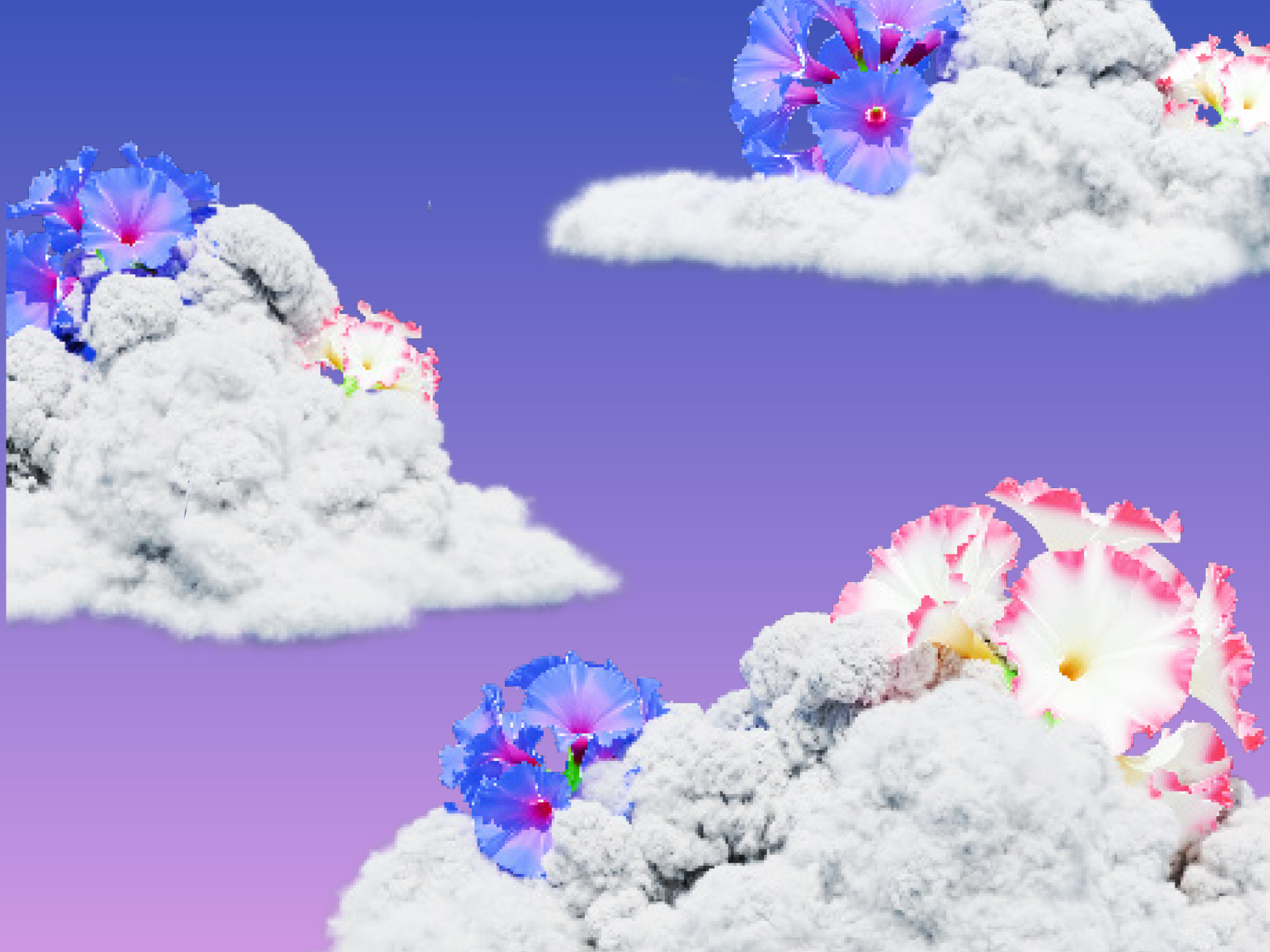 Out Loud: The Garden