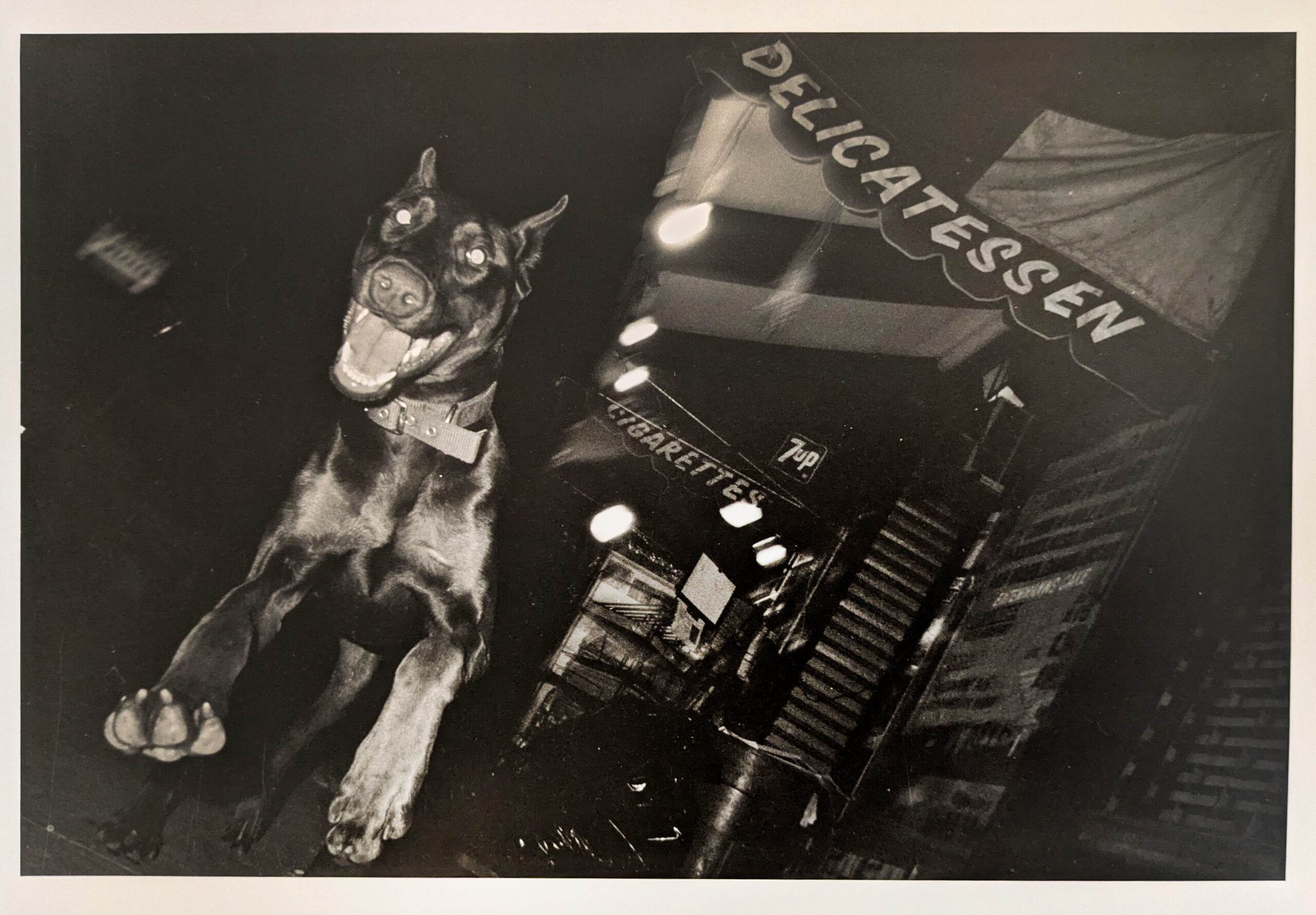 Jill Freedman Unleashed