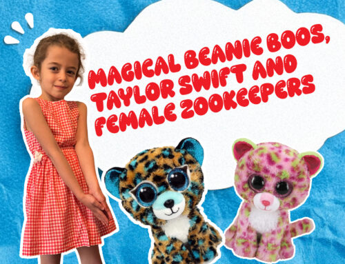 Magical Beanie Boos, Taylor Swift and Female Zookeepers