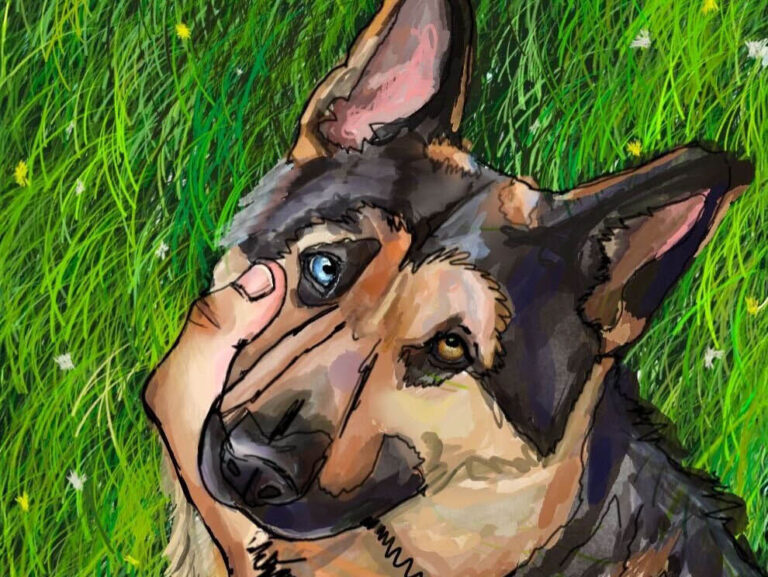 Fear Less, Wag & Purr More