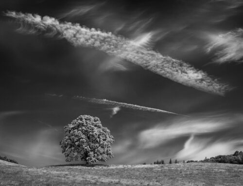 Through the Ground Glass