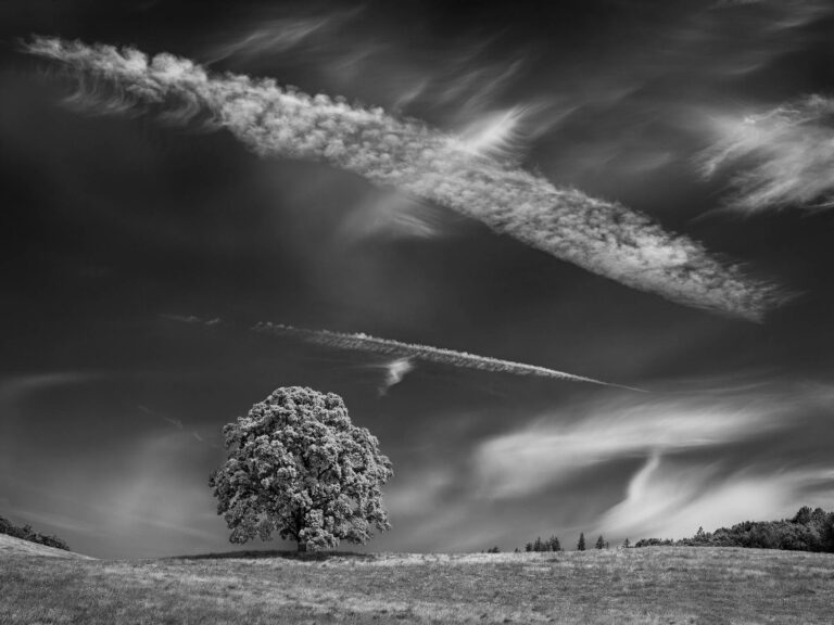 Through the Ground Glass