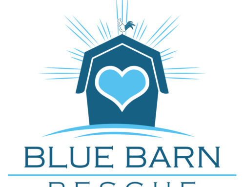 Blue Barn Rescue