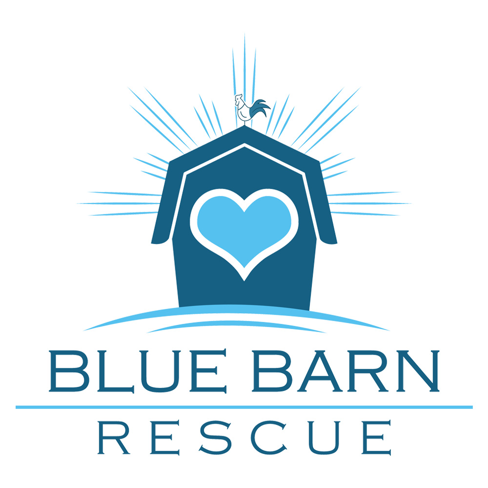 Blue Barn Rescue