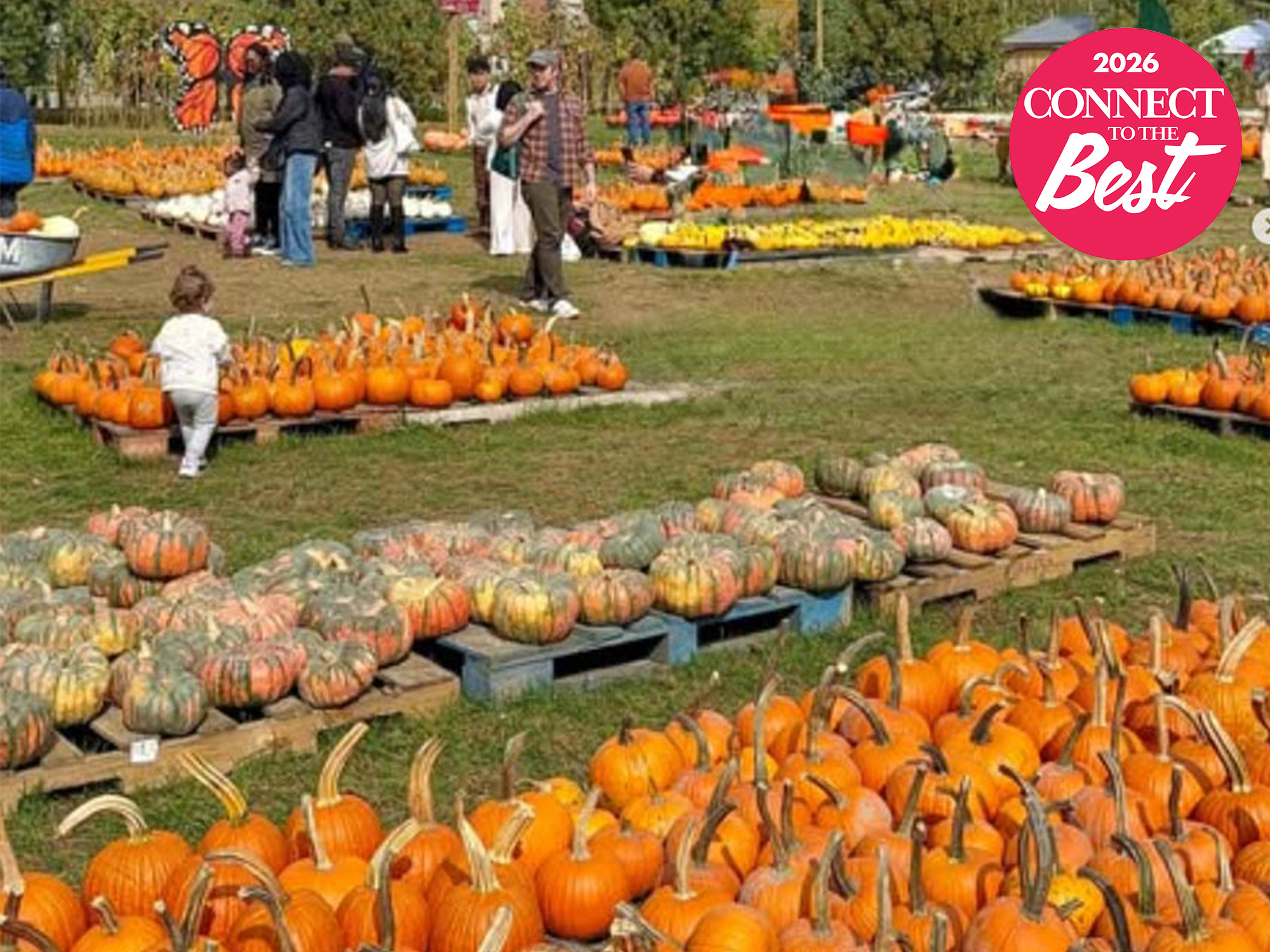 Best Farm 2026 - Harvest Moon Farm and Orchard, North Salem