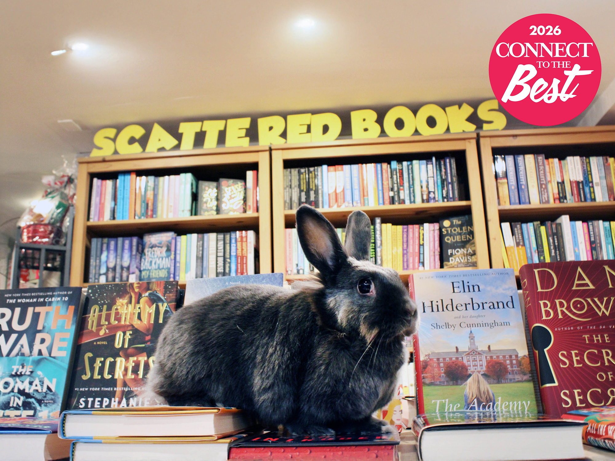 Best Bookstore 2026 - Scattered Books, Chappaqua