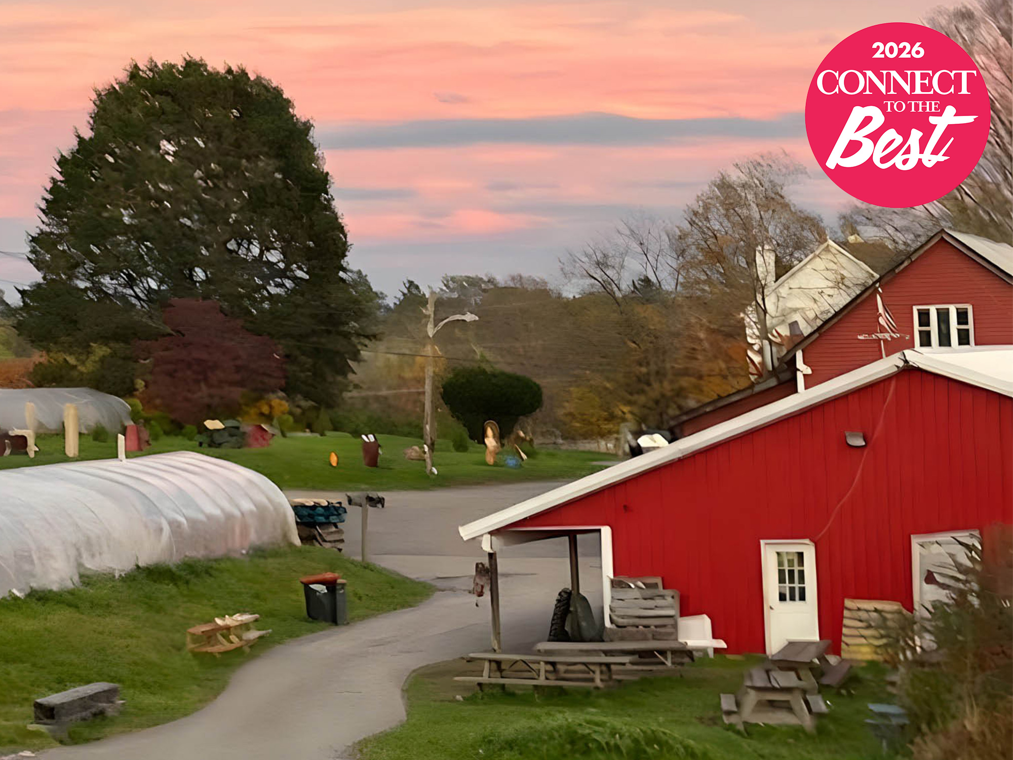 Icons 2026 - Stuart's Fruit Farm, Granite Springs