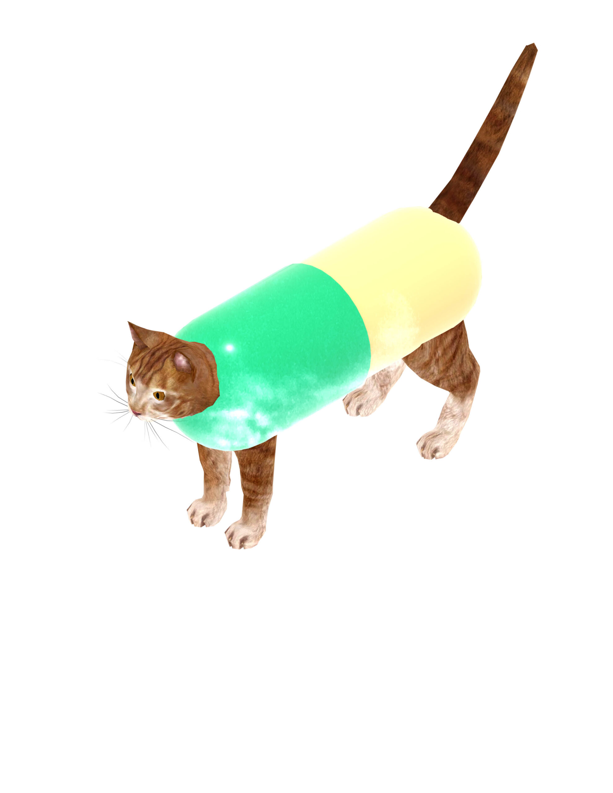 Sit, Stay...Medicate?