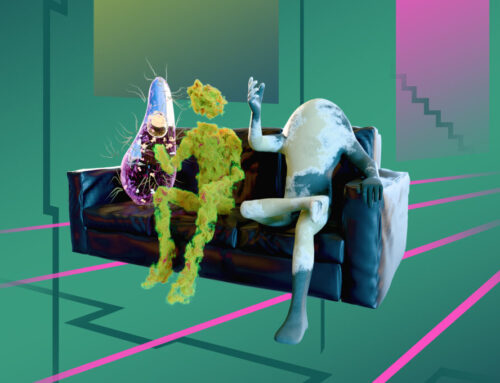 Is your home making you sick?