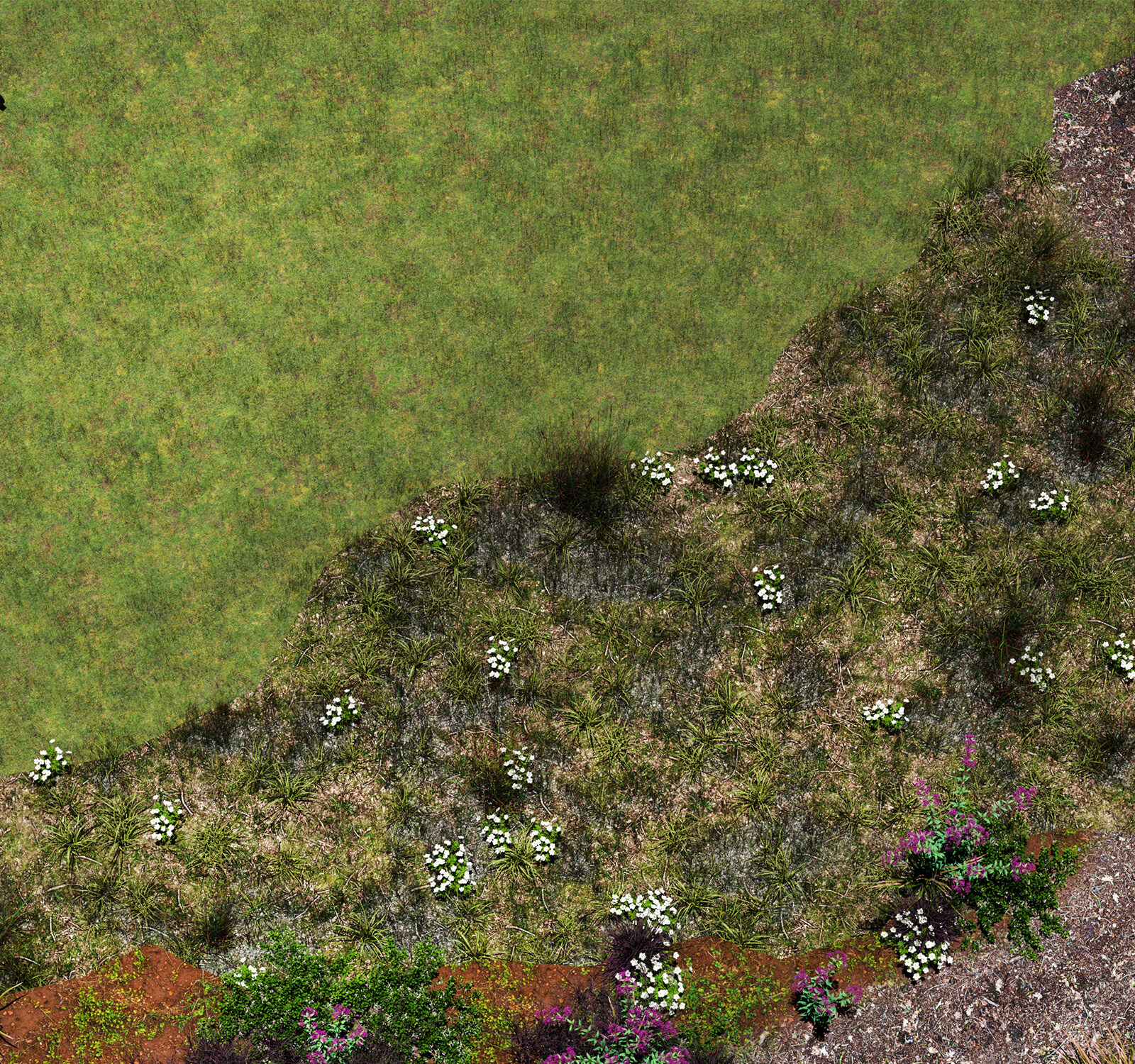 Bringing Nature Back