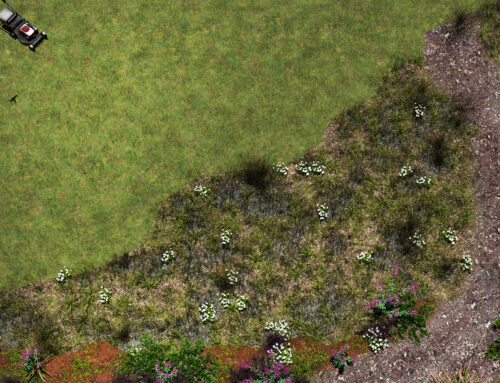 Bringing Nature Back