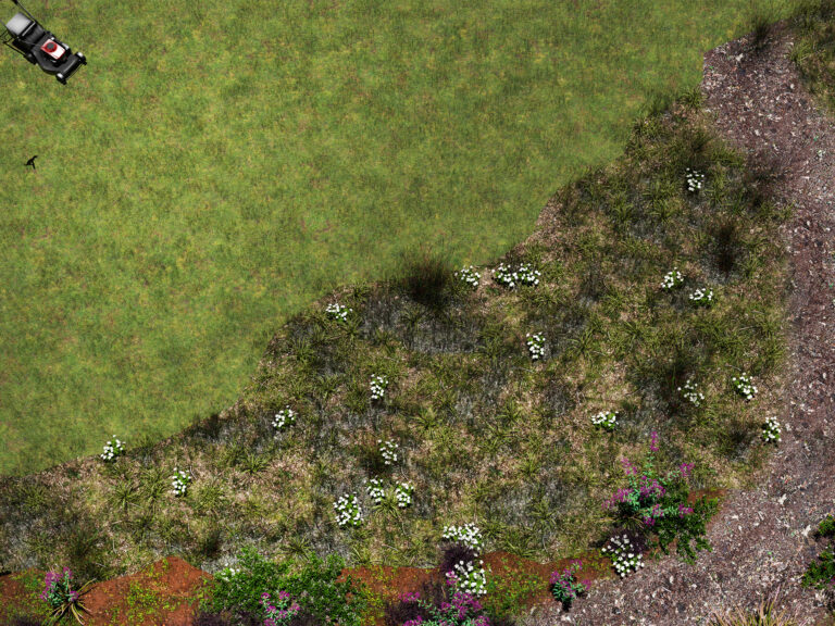 Bringing Nature Back