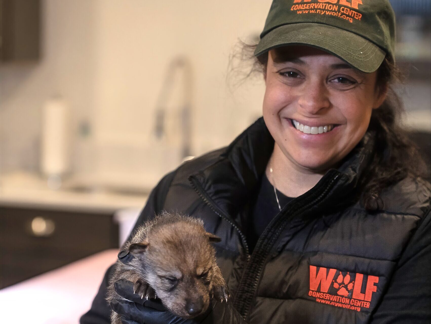 Meet Your Neighbors: Rebecca Bose, Curator, Wolf Conservation Center