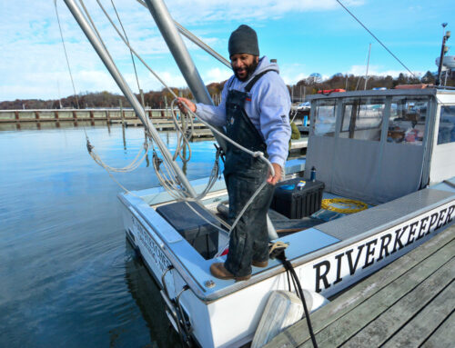 Meet Your Neighbors: Luis Melendez, Boat Captain,  Riverkeeper