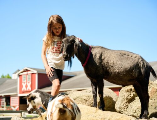 Lessons Learned from Hooves, Feathers and Fur