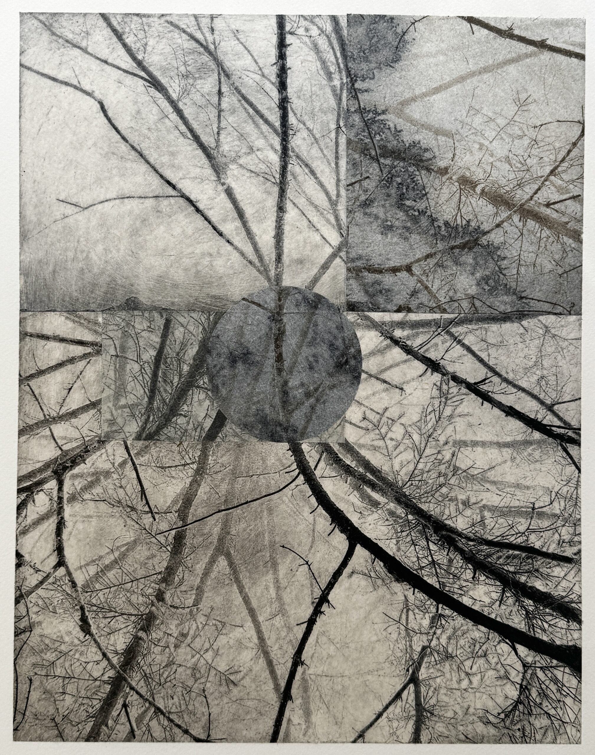 Printing Nature
