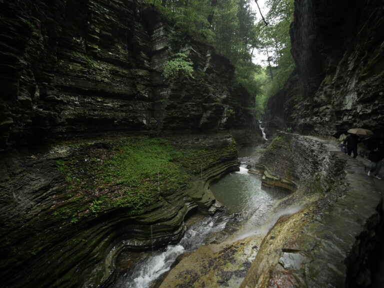 A Weekend in Watkins Glen