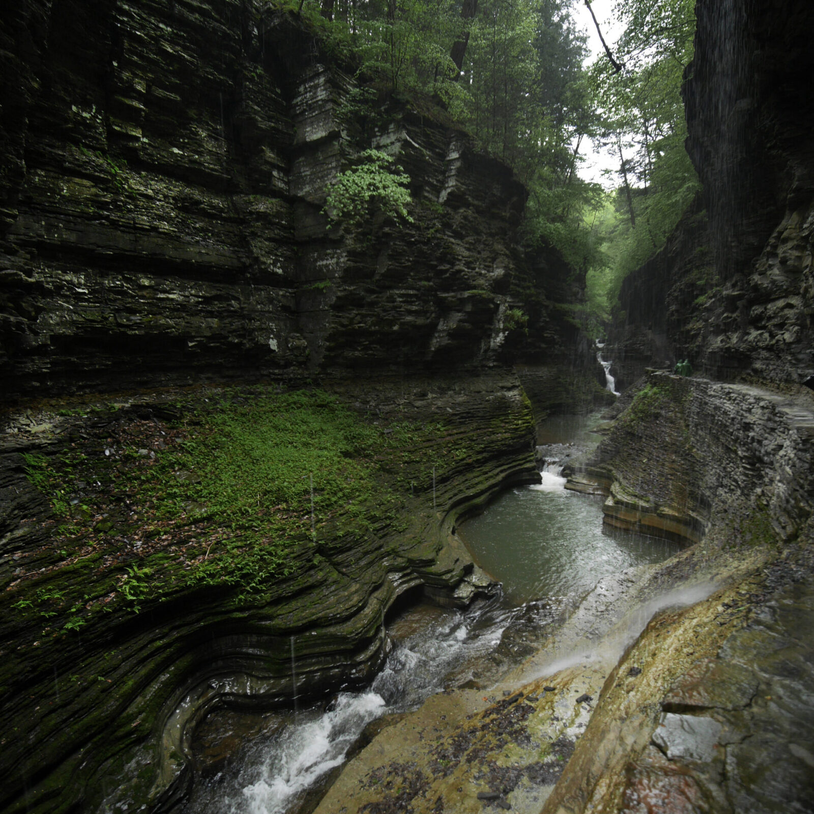 A Weekend in Watkins Glen