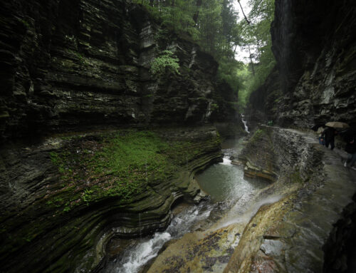 A Weekend in Watkins Glen