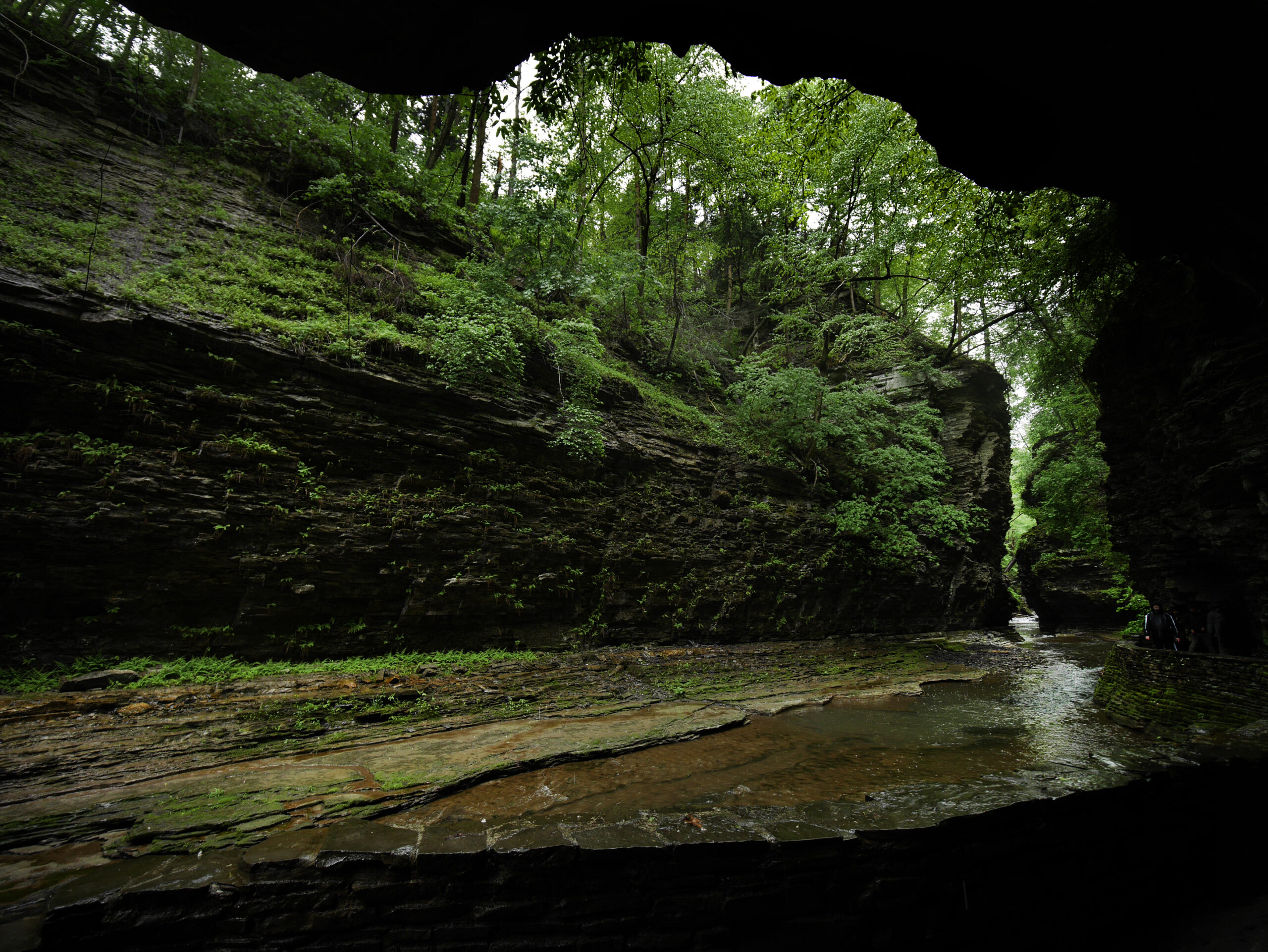 A Weekend in Watkins Glen