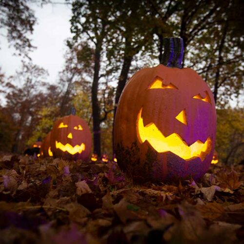 The Great Jack O’Lantern Blaze